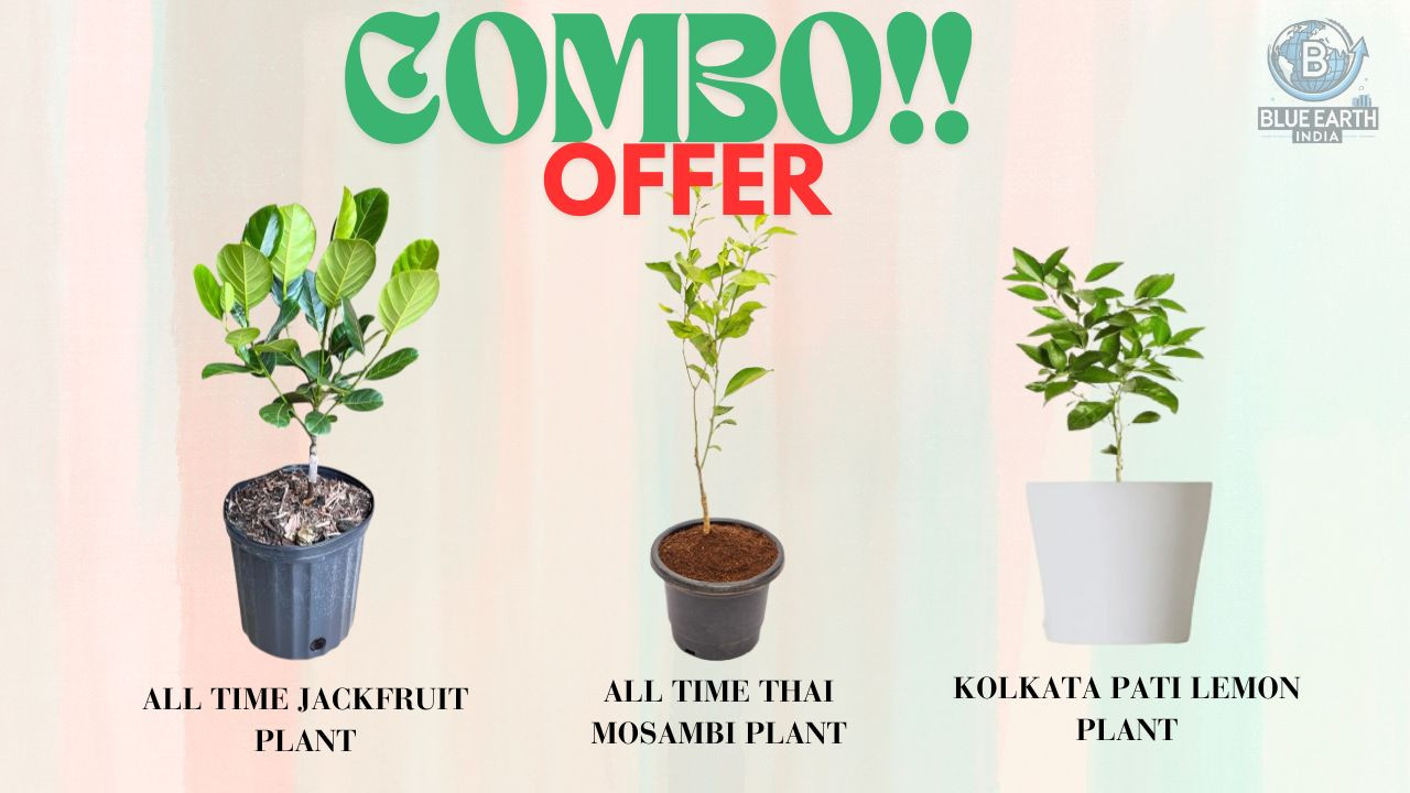 Blueeath India promo